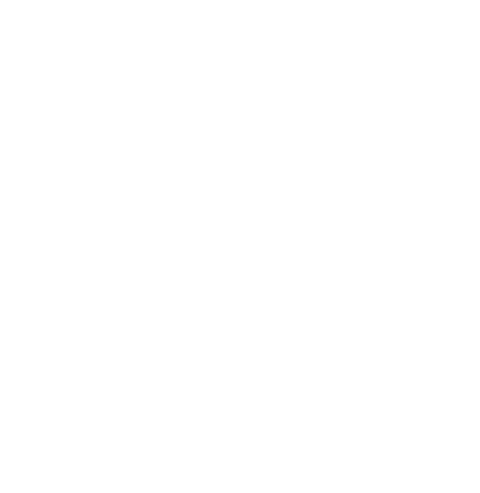 client 29